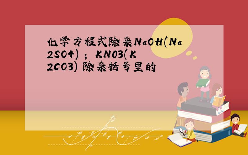 化学方程式除杂NaOH(Na2SO4) ； KN03(K2CO3) 除杂括号里的