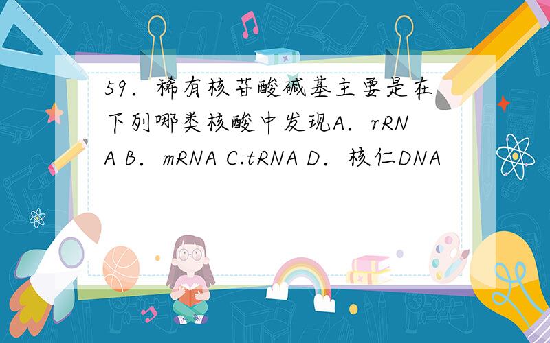 59．稀有核苷酸碱基主要是在下列哪类核酸中发现A．rRNA B．mRNA C.tRNA D．核仁DNA