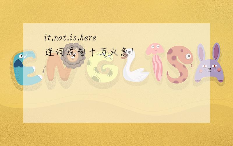 it,not,is,here连词成句十万火急！