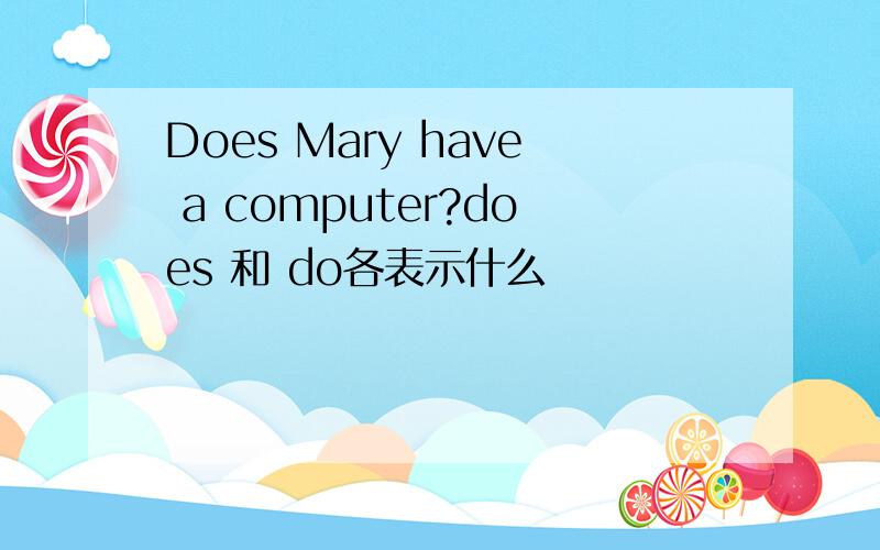 Does Mary have a computer?does 和 do各表示什么