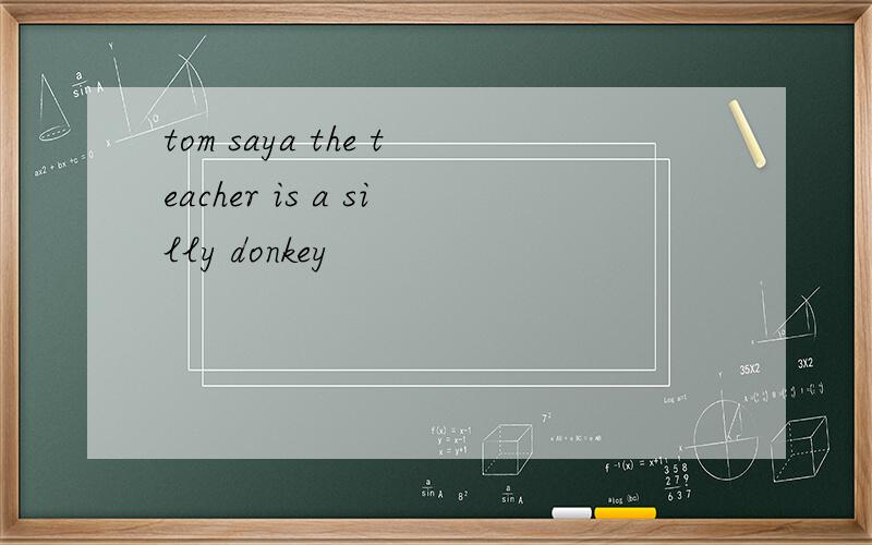 tom saya the teacher is a silly donkey