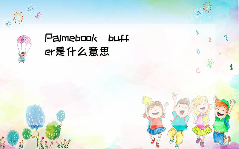Palmebook_buffer是什么意思